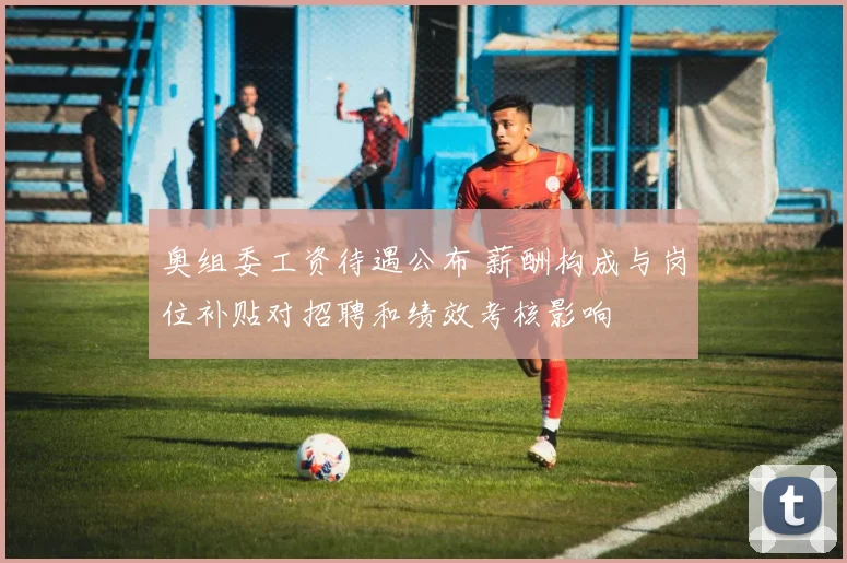 奥组委工资待遇公布 薪酬构成与岗位补贴对招聘和绩效考核影响